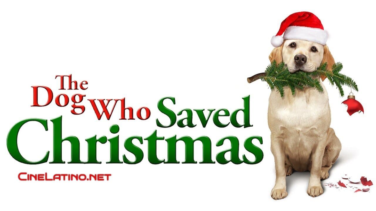 The Dog Who Saved the Holidaysの背景画像