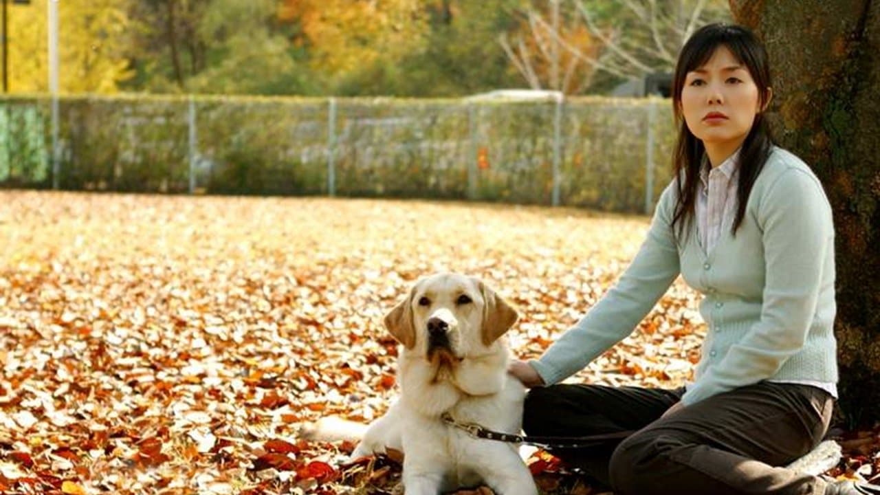 내사랑 토람이の背景画像