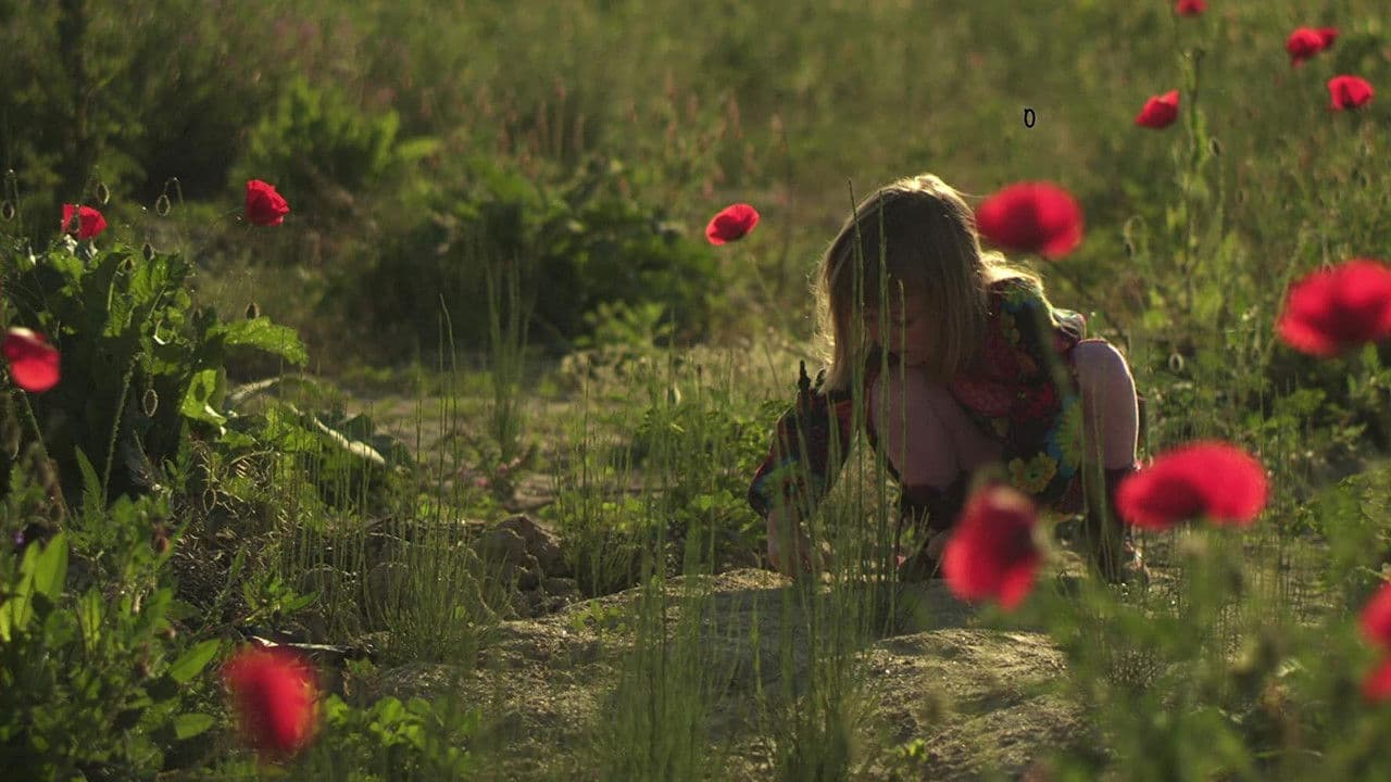 Mama Europaの背景画像