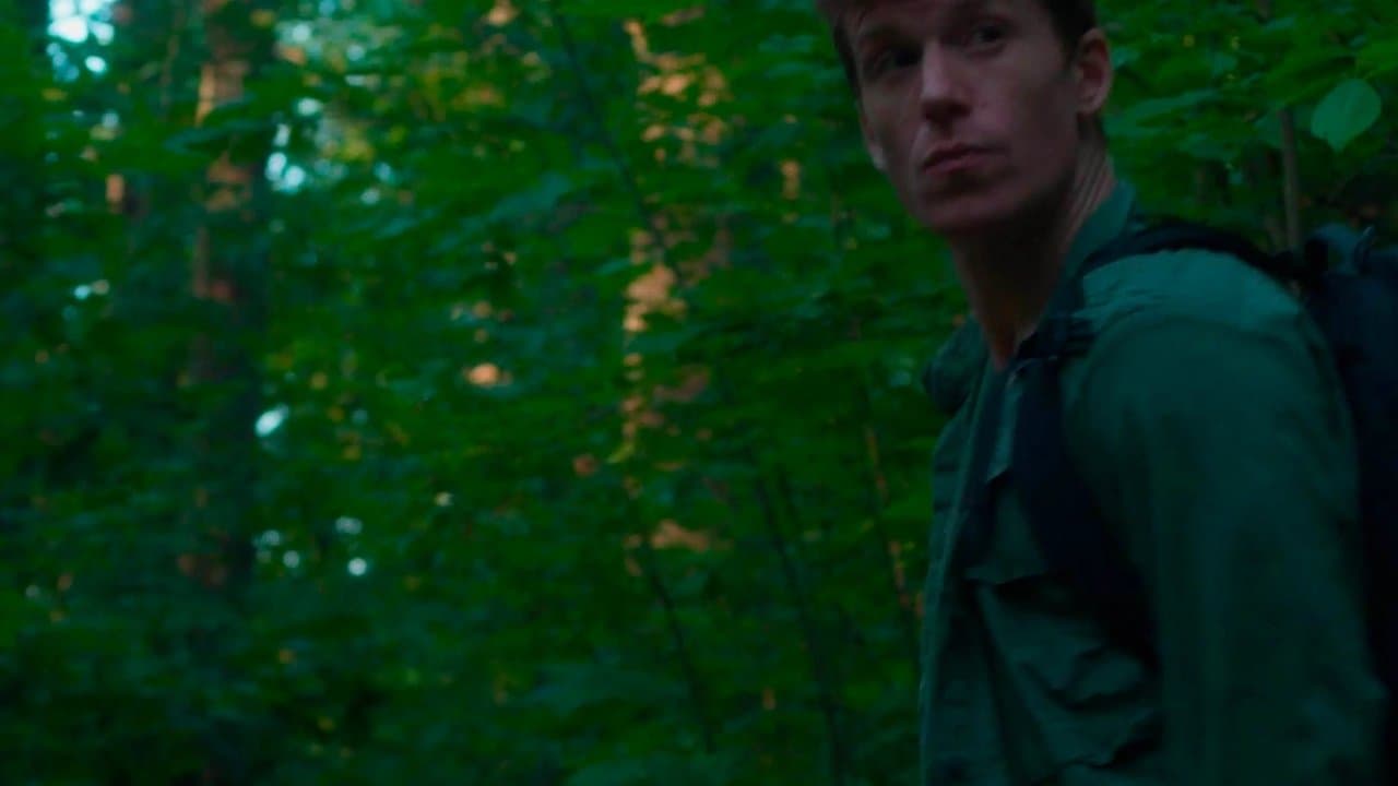 Birderの背景画像