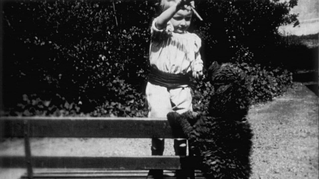 Enfant et chienの背景画像