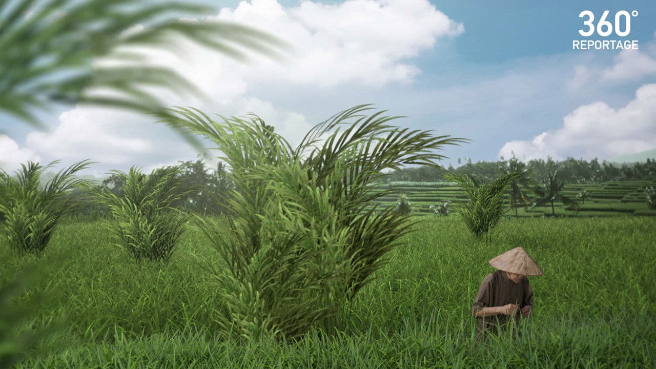 ARTE 360° Reportageの背景画像