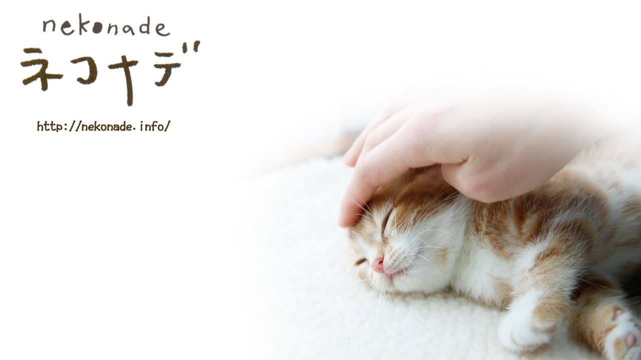 ネコナデの背景画像