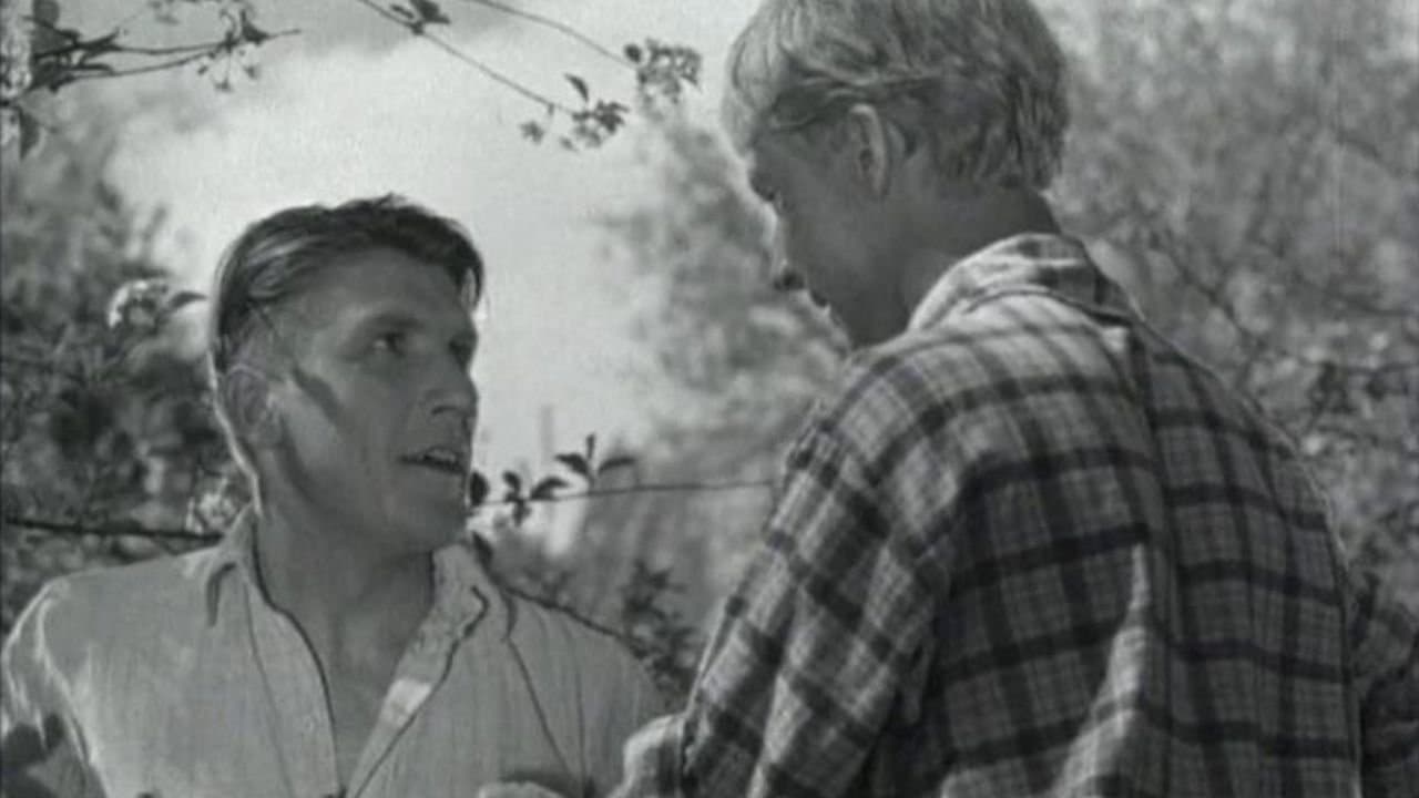 Парень из нашего городаの背景画像