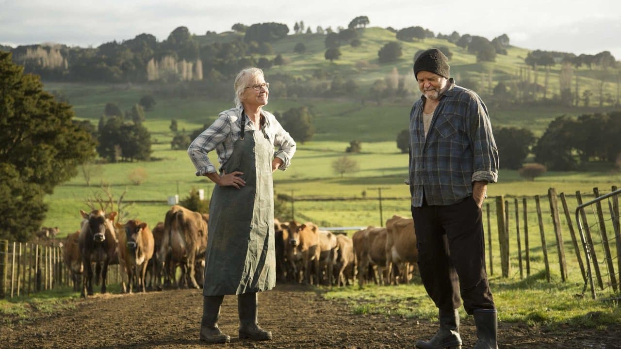 Bellbirdの背景画像