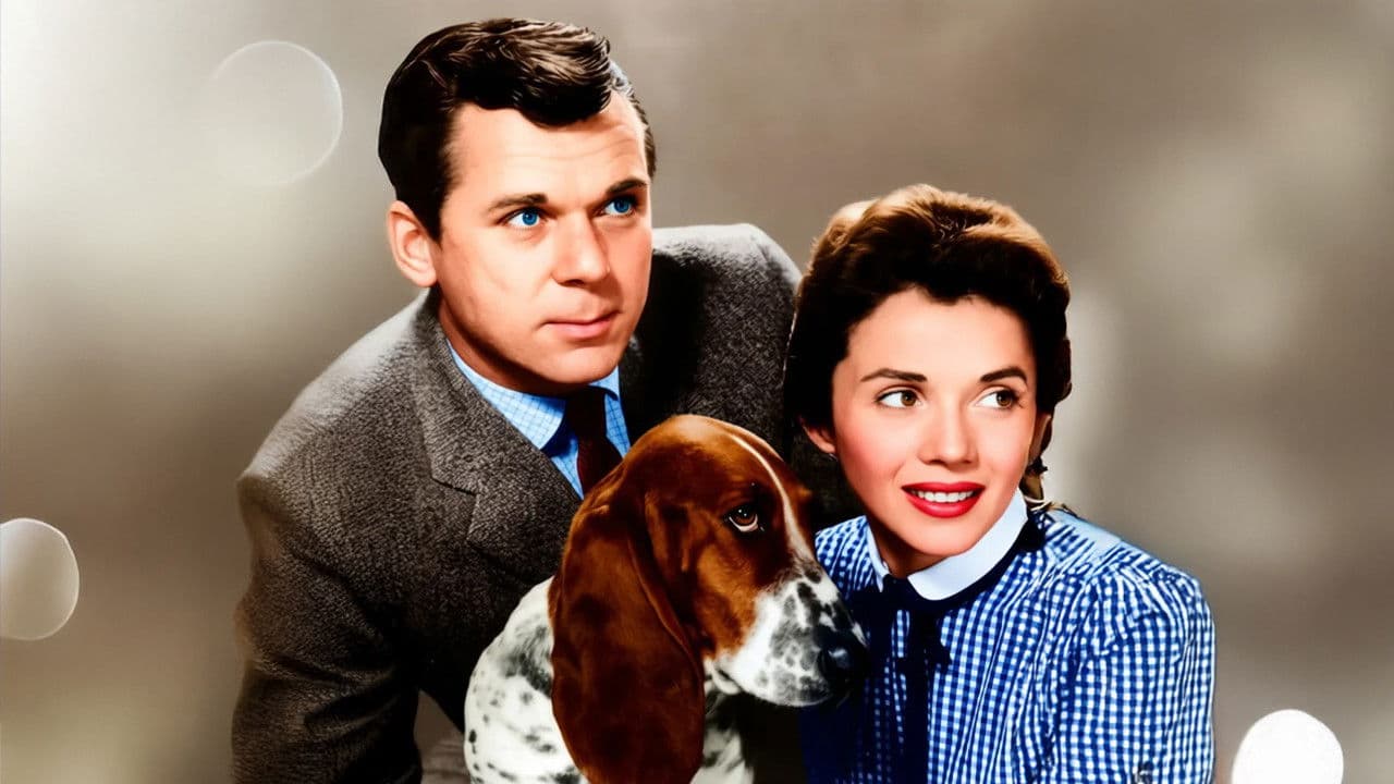 The People's Choiceの背景画像