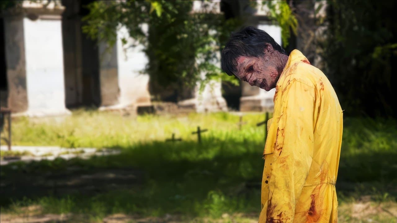 Porto dos Mortosの背景画像