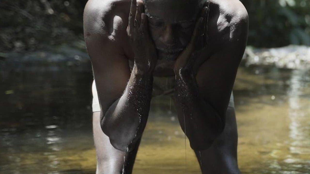 Cantareiraの背景画像