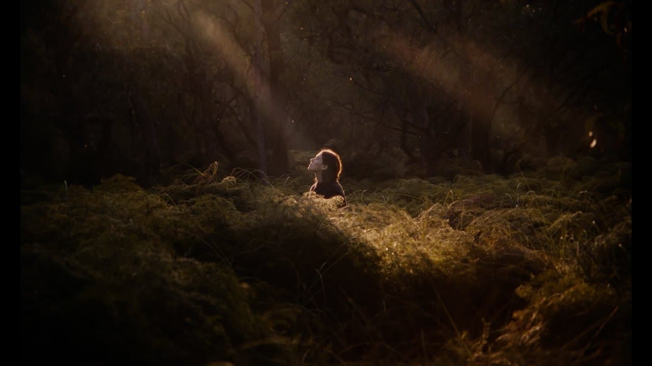 Smallの背景画像