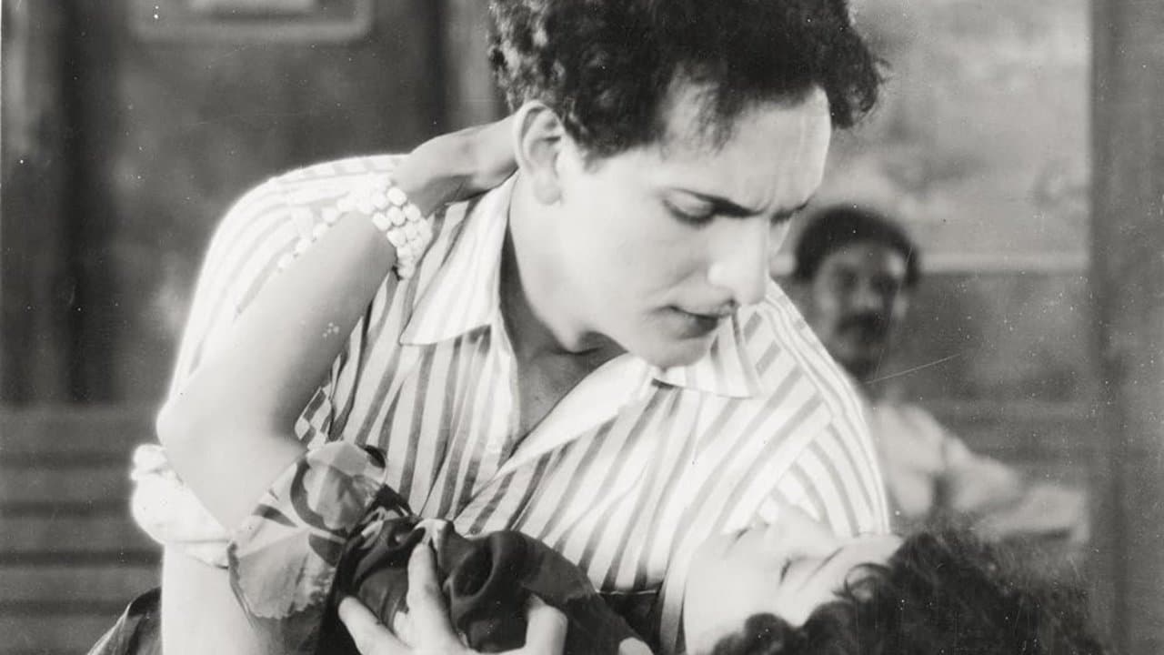 Shipwreckedの背景画像