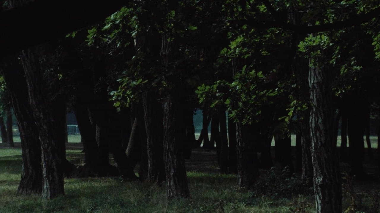 Le Navire Nightの背景画像