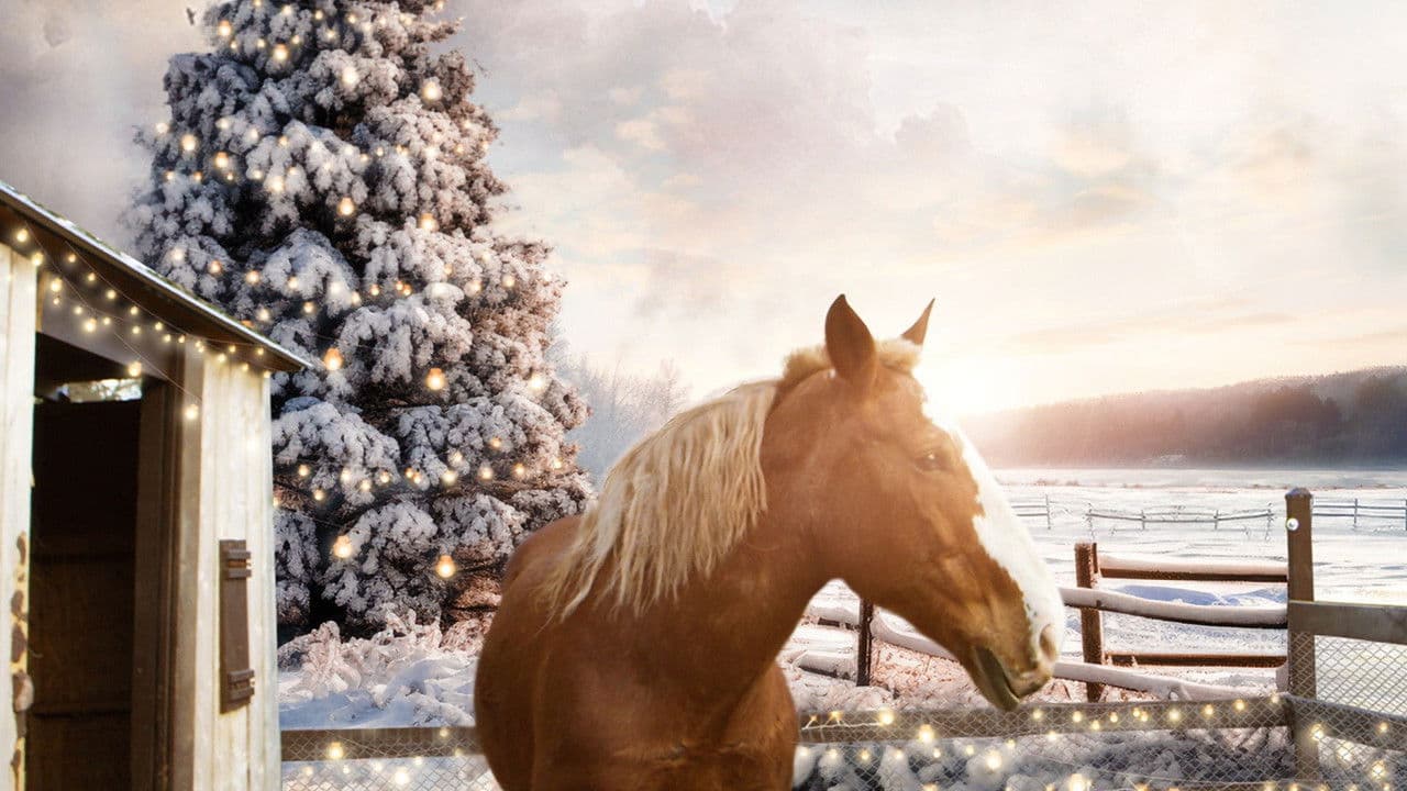 December Horsesの背景画像