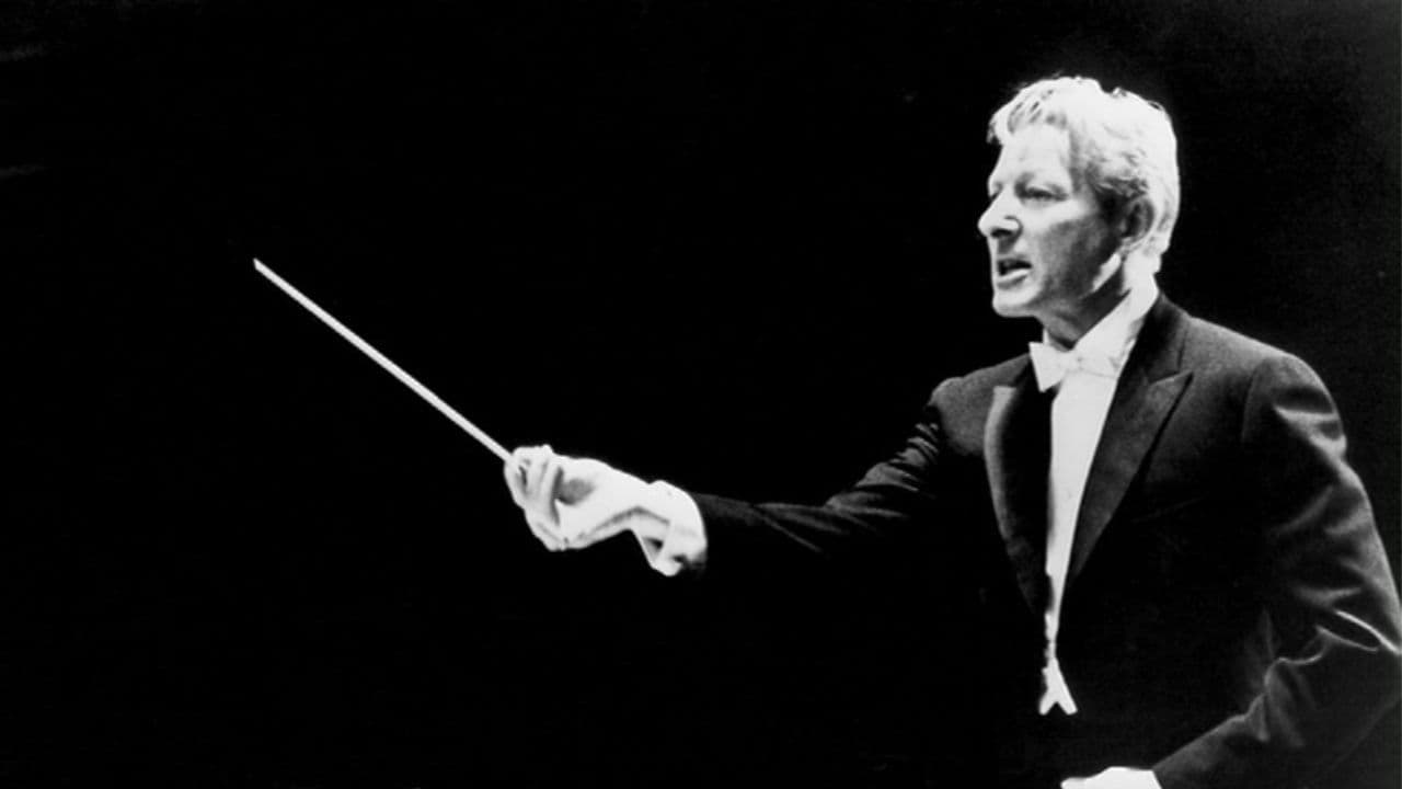 A Portrait of Danny Kayeの背景画像