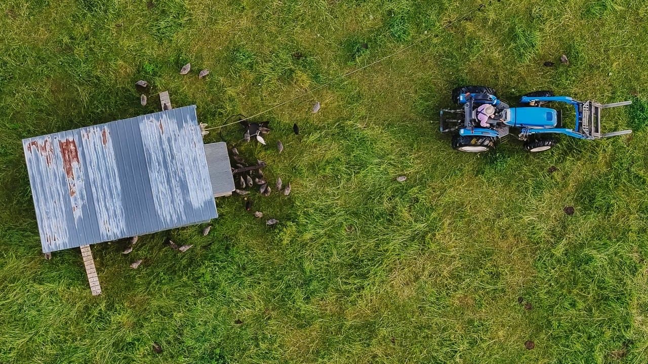 The Lunatic Farmerの背景画像