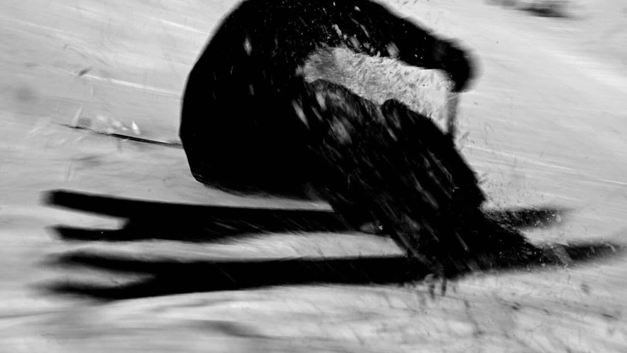 inefficient joy_の背景画像