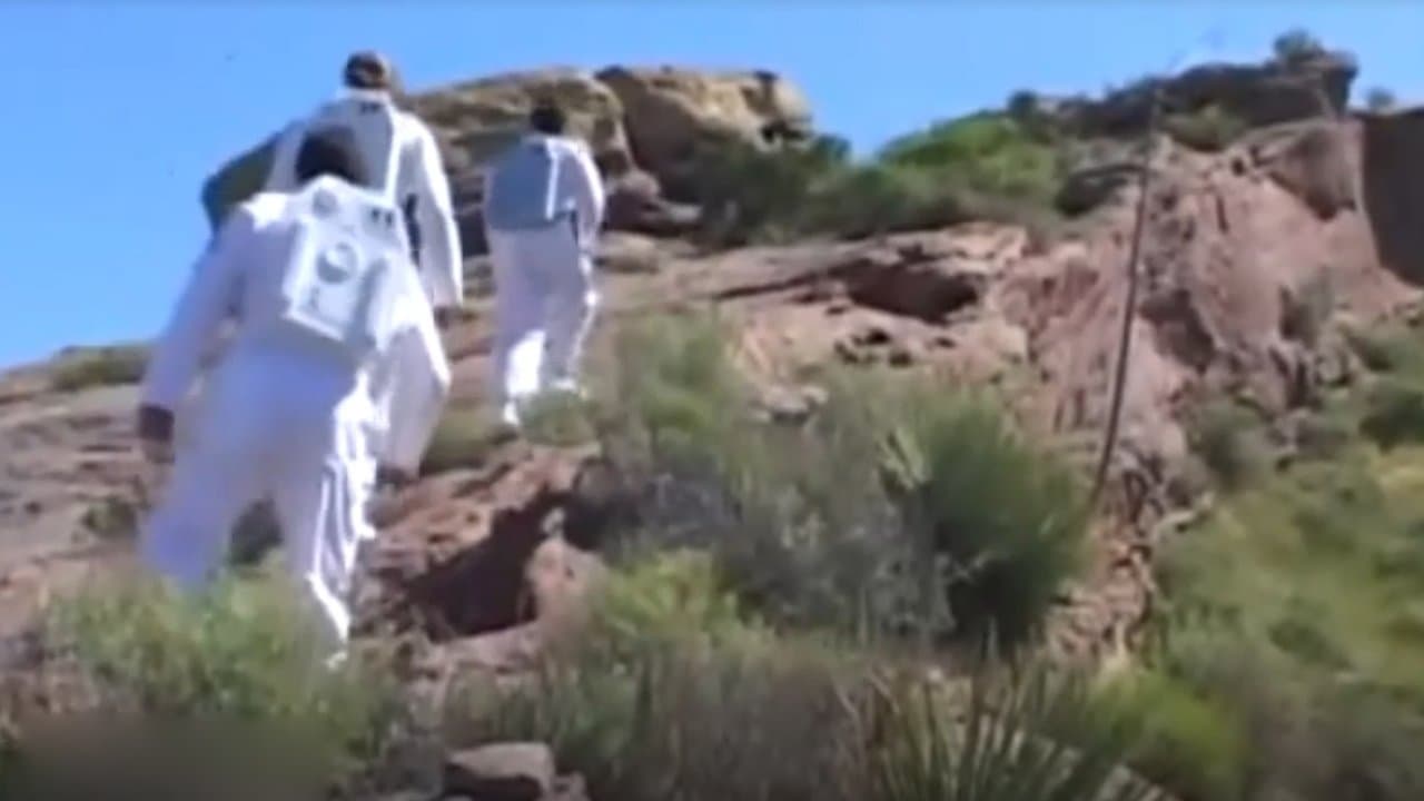 Planet of the Babesの背景画像