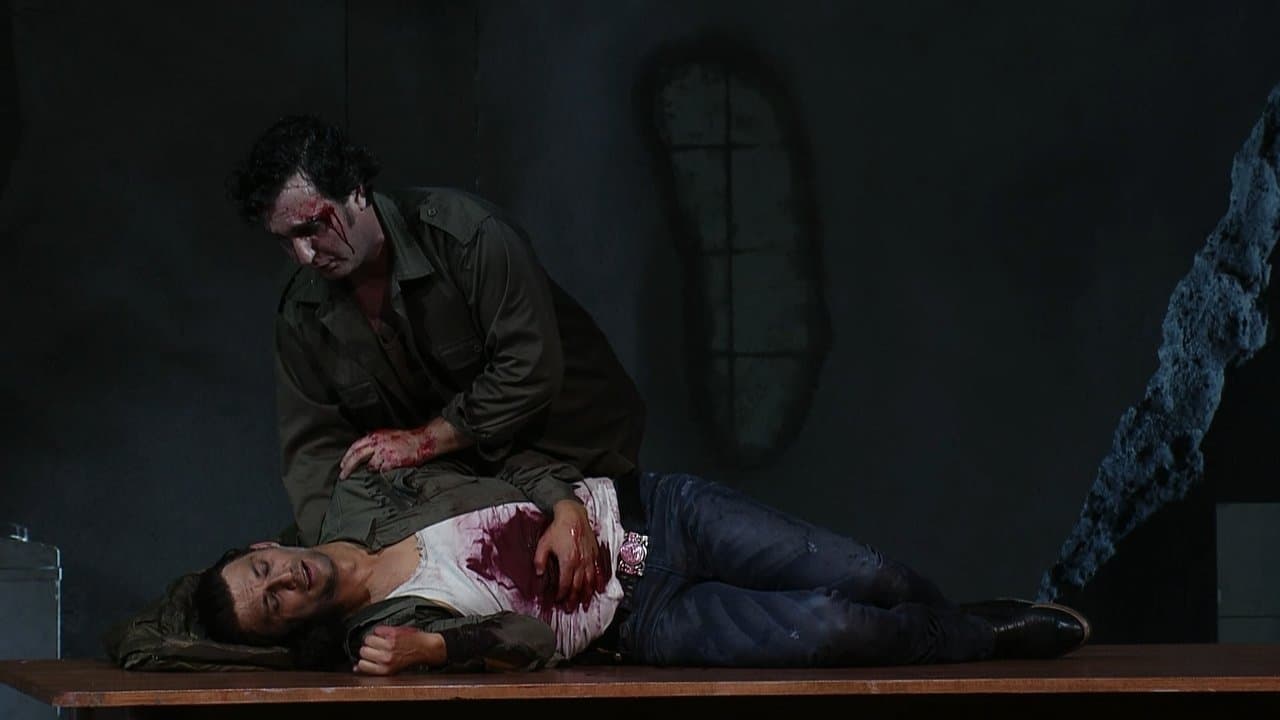 Verdi La Forza del Destinoの背景画像