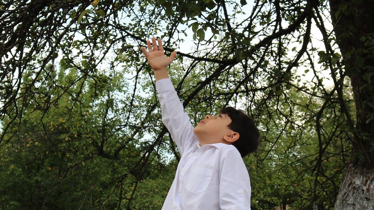 ظلال يوغسلافياの背景画像