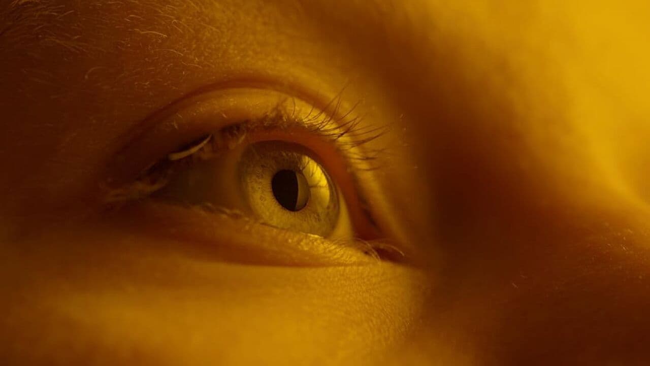 The First Tasteの背景画像