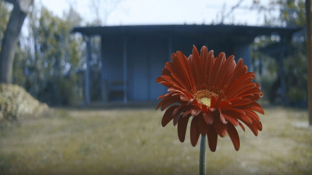 Lockdownの背景画像