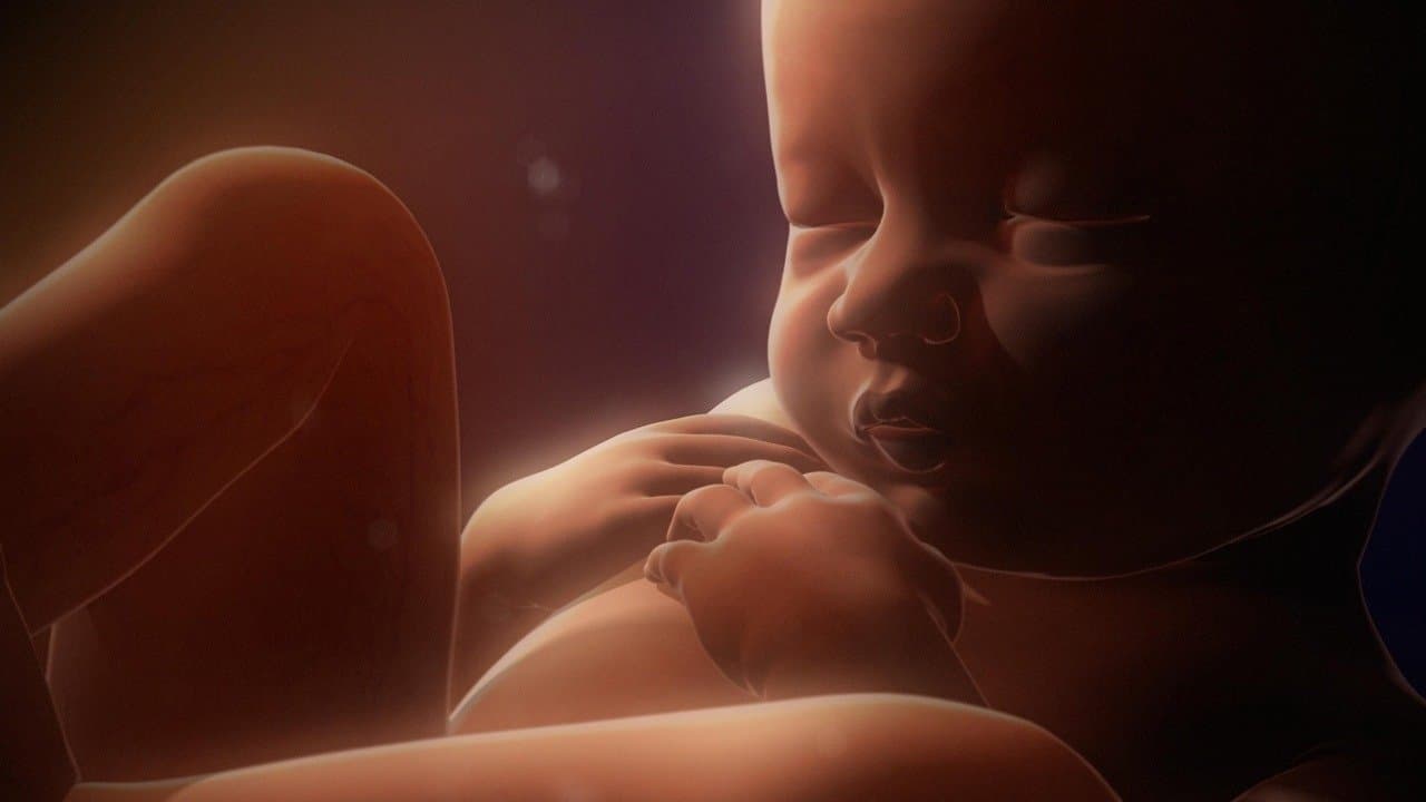 In the Womb: Multiplesの背景画像