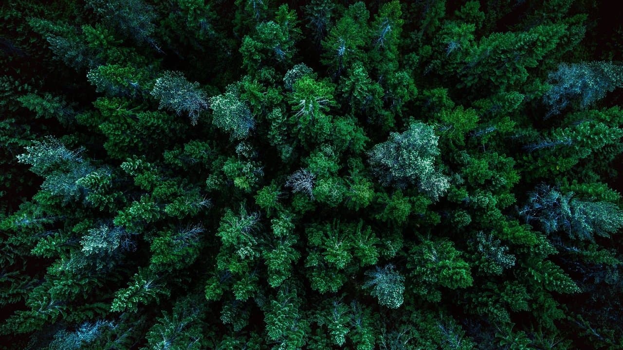 A World of Calmの背景画像