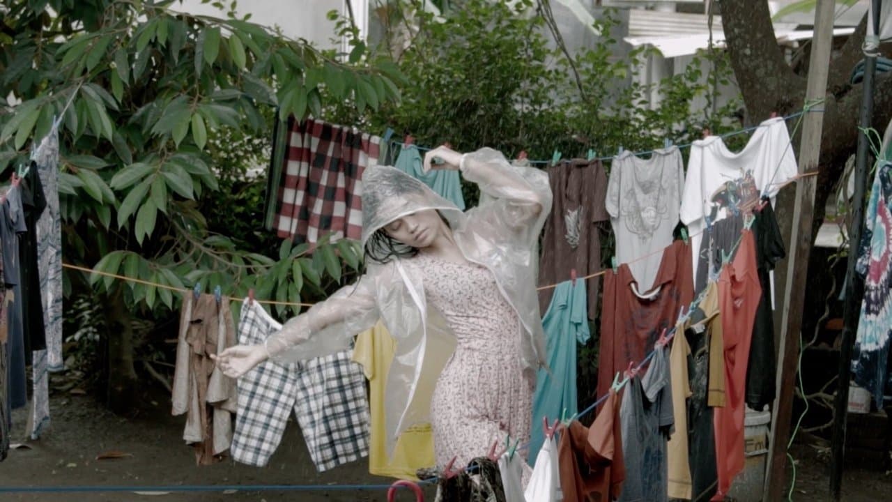 Dry Season in My Houseの背景画像