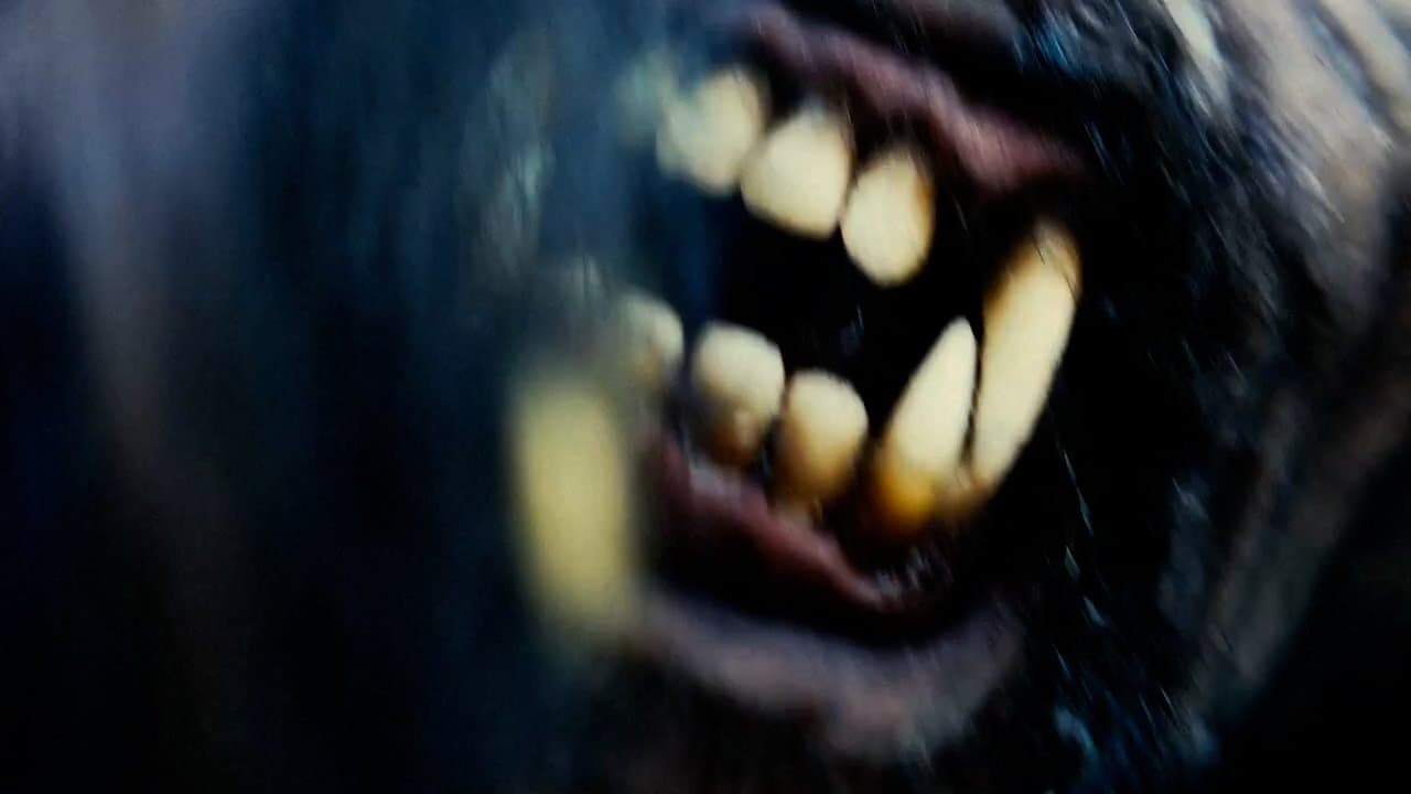 Tahoe Joe 2: The Sierra Nevada Bigfoot Conspiracyの背景画像