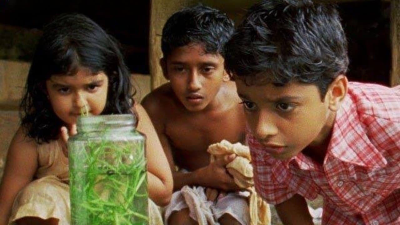 മഞ്ചാടിക്കുരുの背景画像