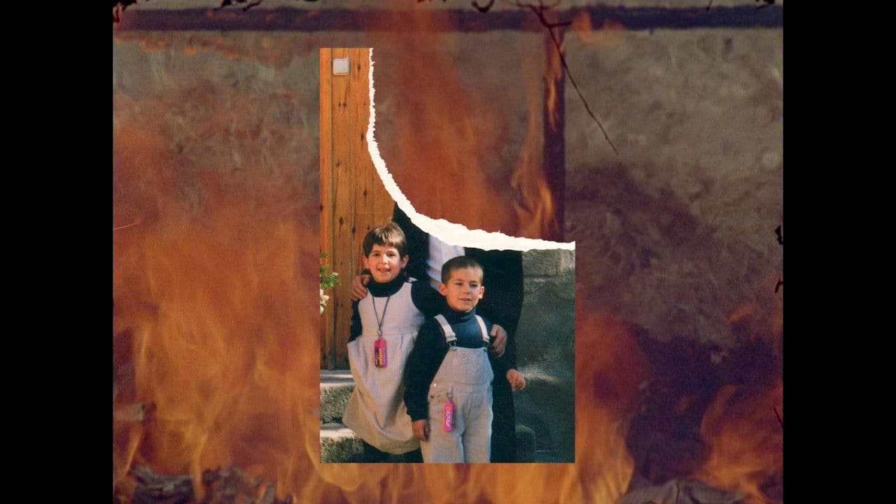 Ara cremaの背景画像