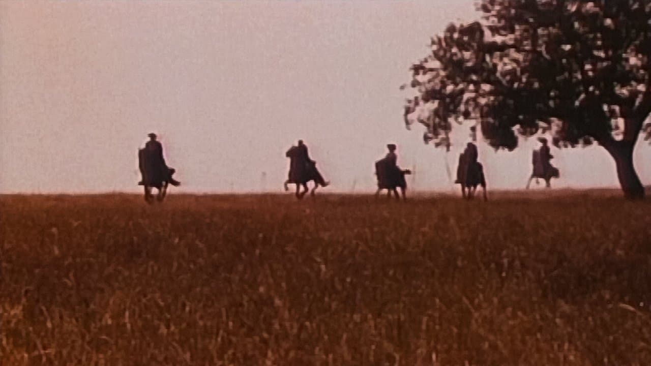 Alentejo Sem Leiの背景画像