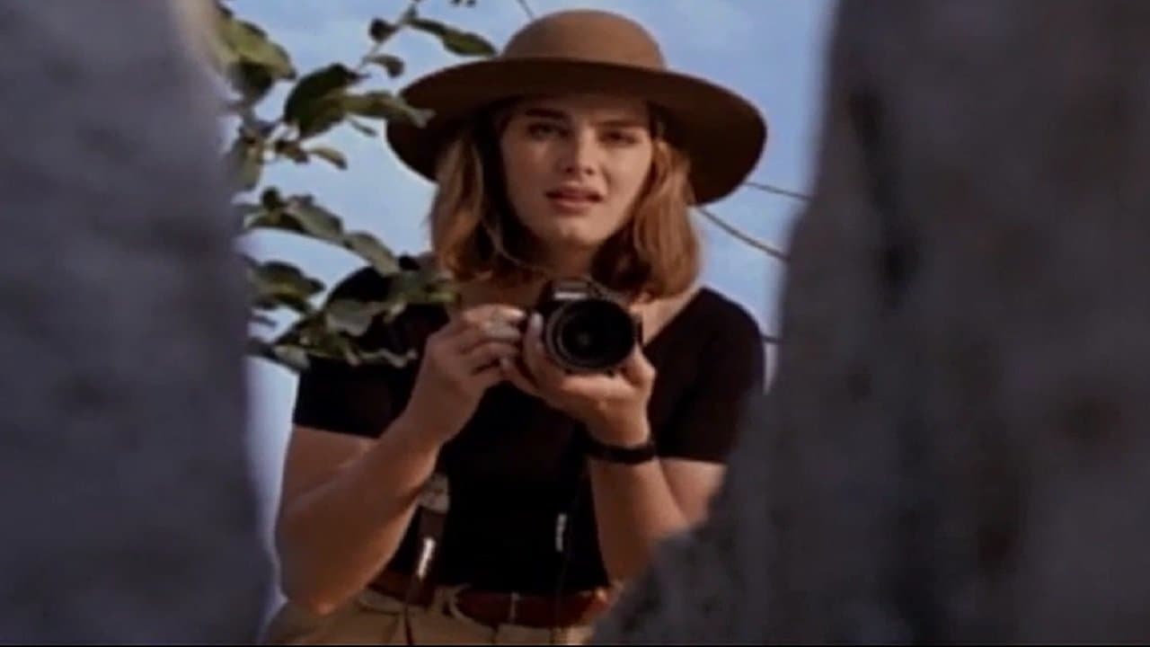 Born Wildの背景画像