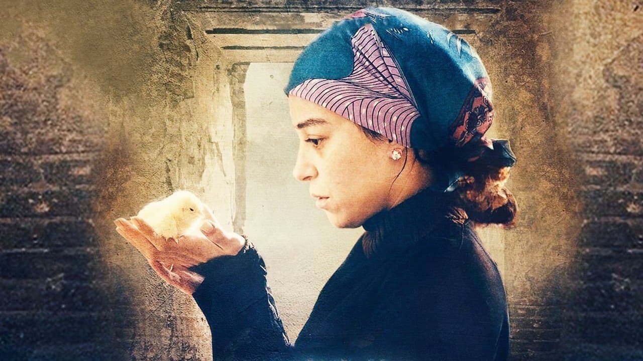 نوارةの背景画像