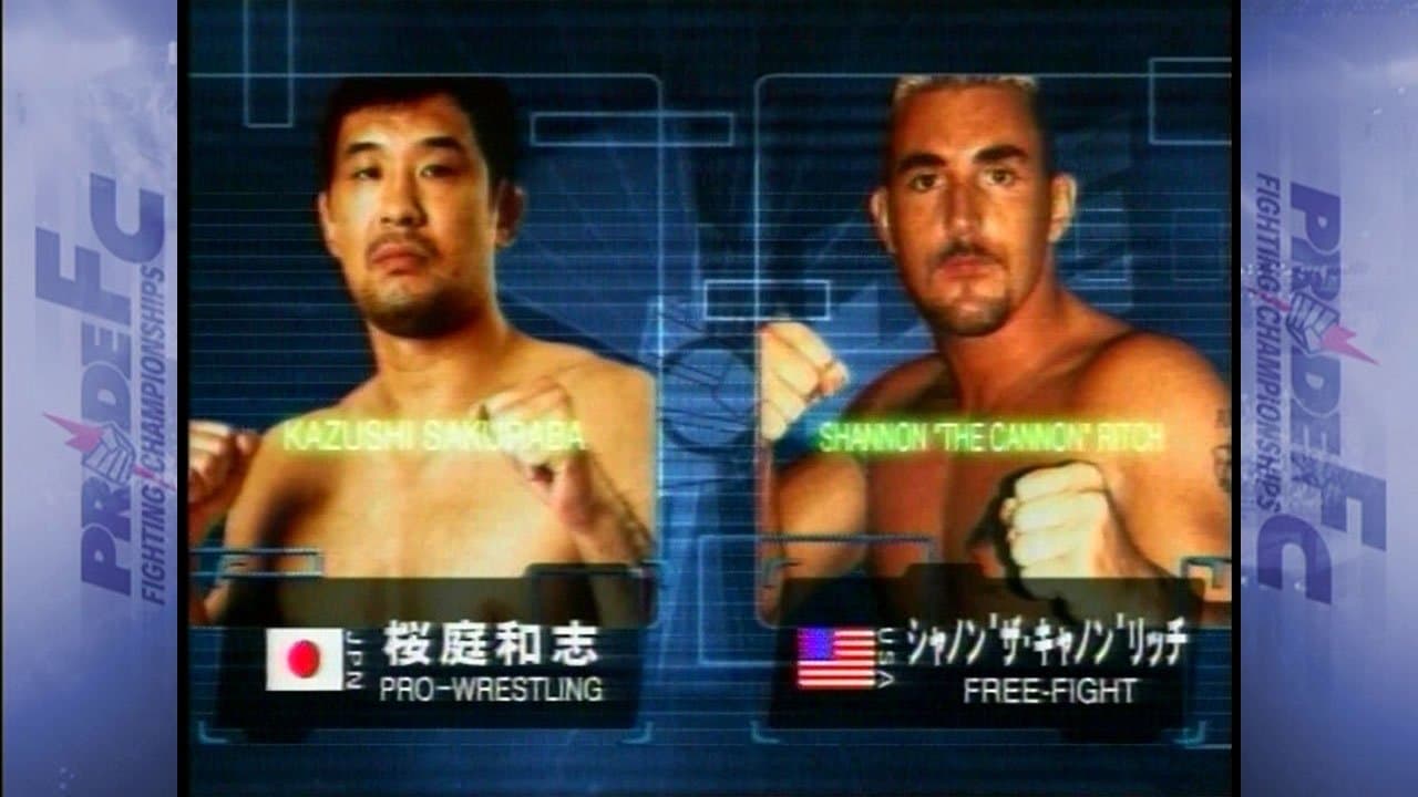 PRIDE.11の背景画像