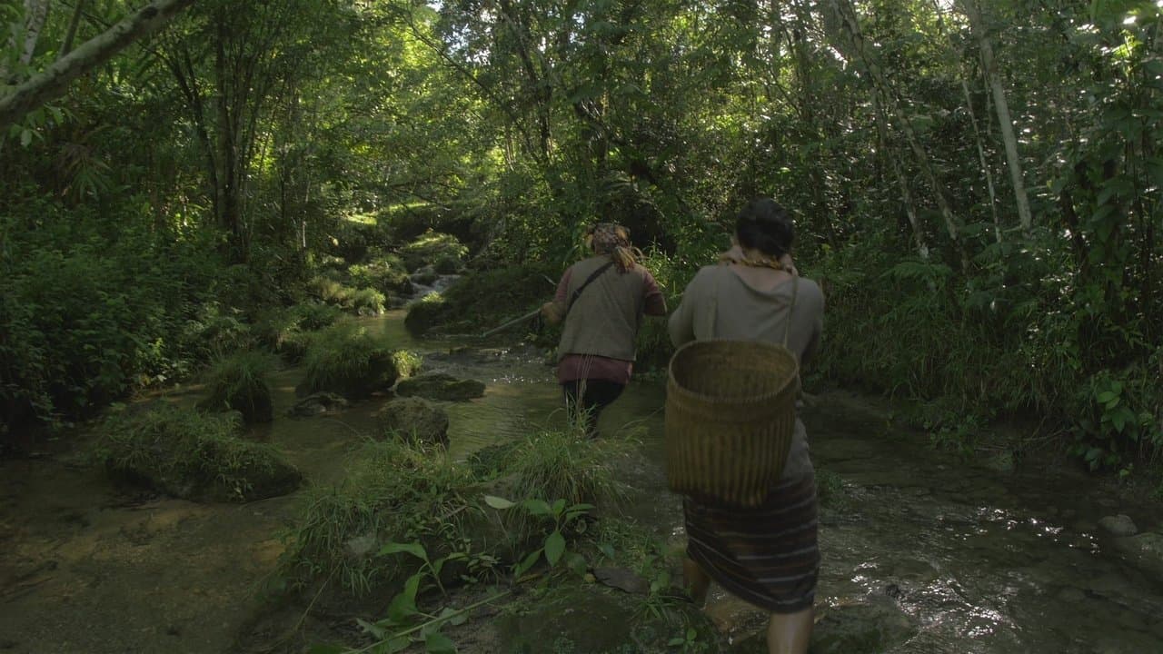 Tu Pug Imatuyの背景画像