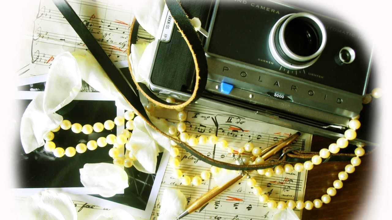 The Last Pictureの背景画像