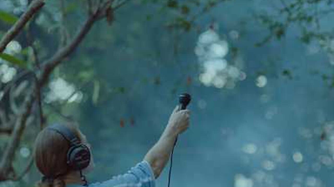 Hilda Hilst Pede Contatoの背景画像