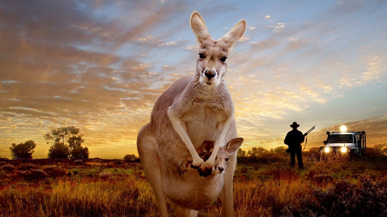 Kangaroo: A Love-Hate Storyの背景画像