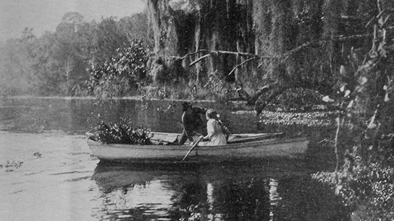 The Suwanee Riverの背景画像