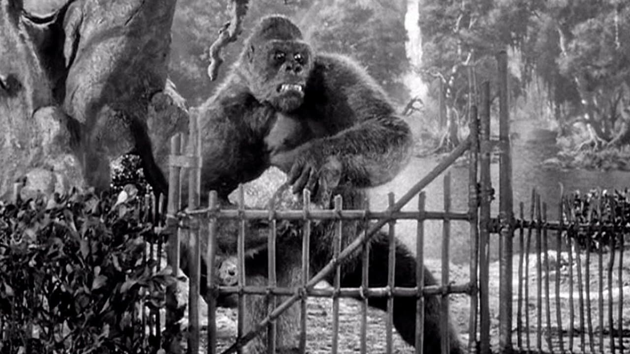 Mighty Joe Youngの背景画像