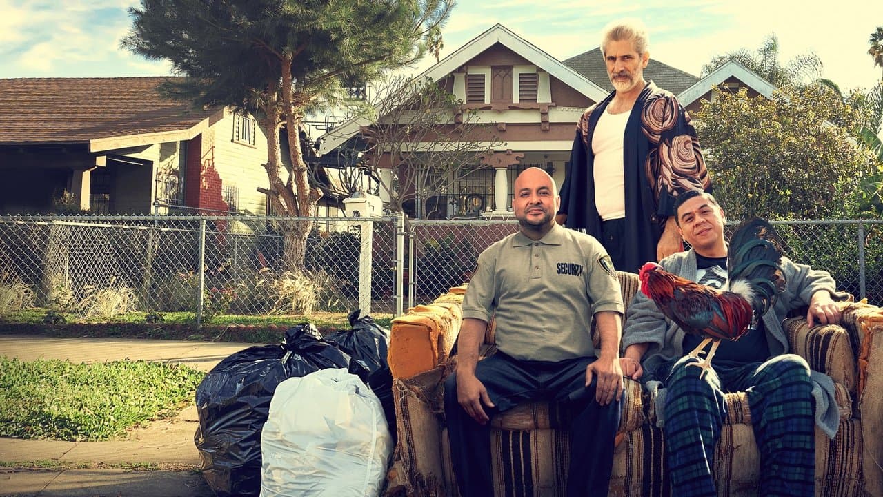 This Foolの背景画像