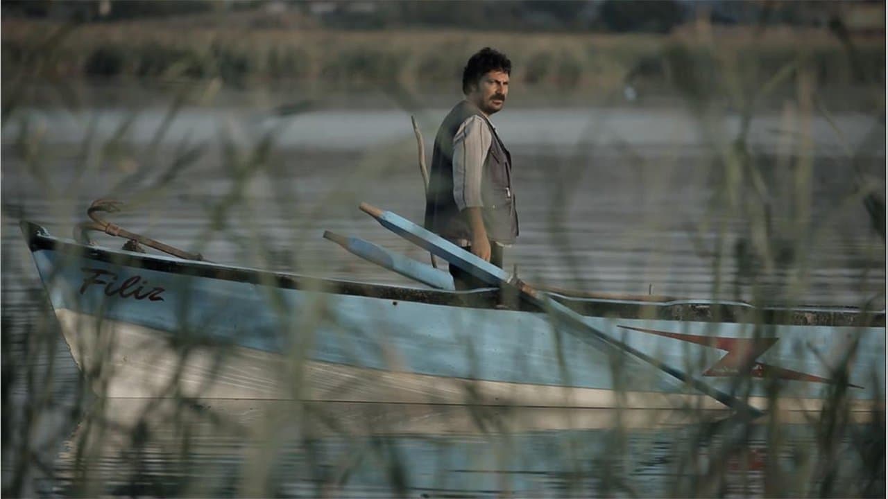 Balıkの背景画像