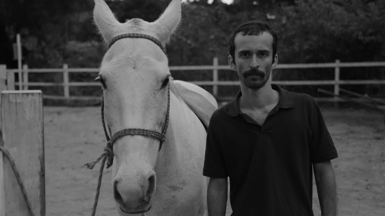 Coice no Peitoの背景画像