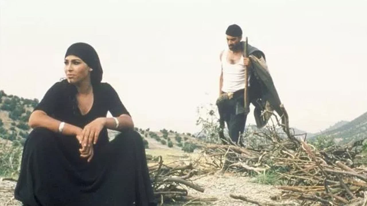 Les yeux secsの背景画像