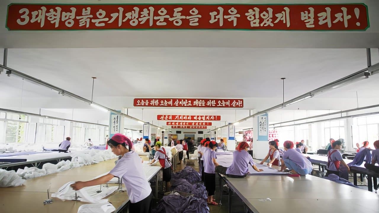 Maneuvers in the Darkの背景画像