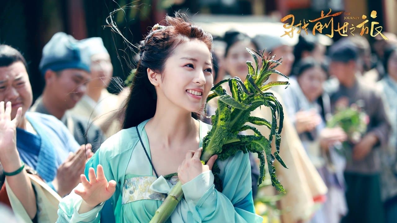 寻找前世之旅の背景画像