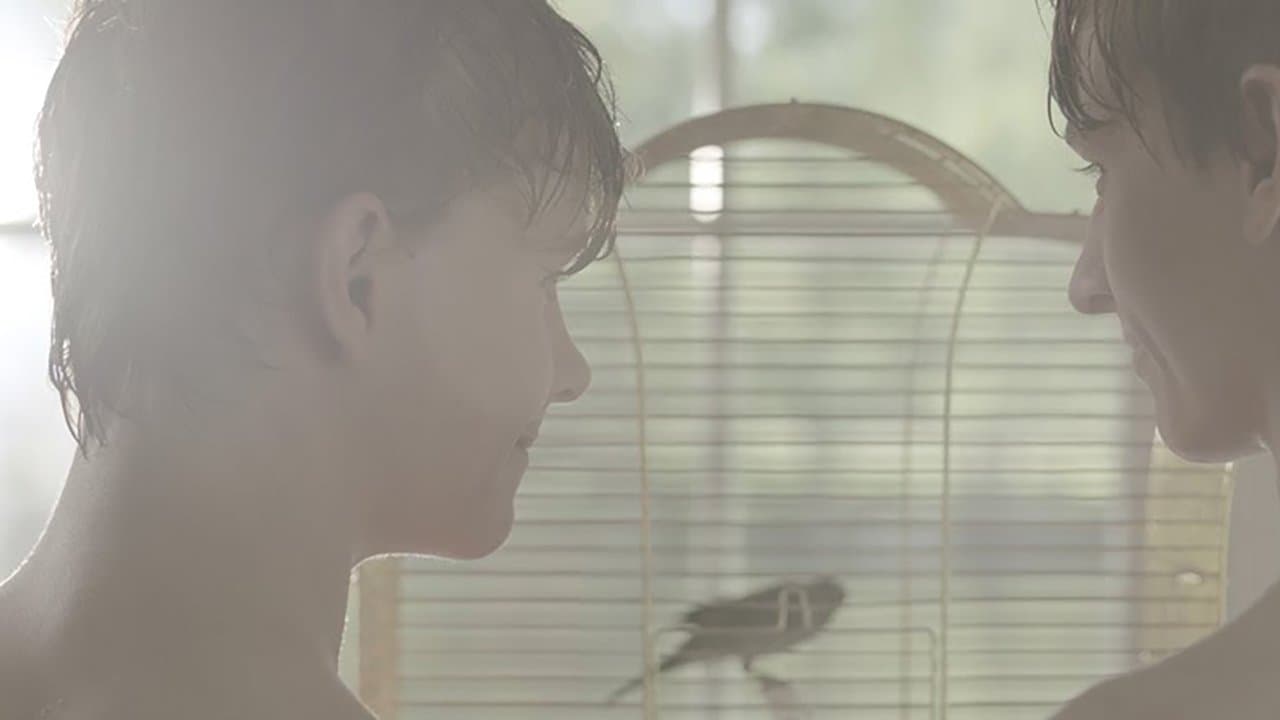 Daniëlの背景画像