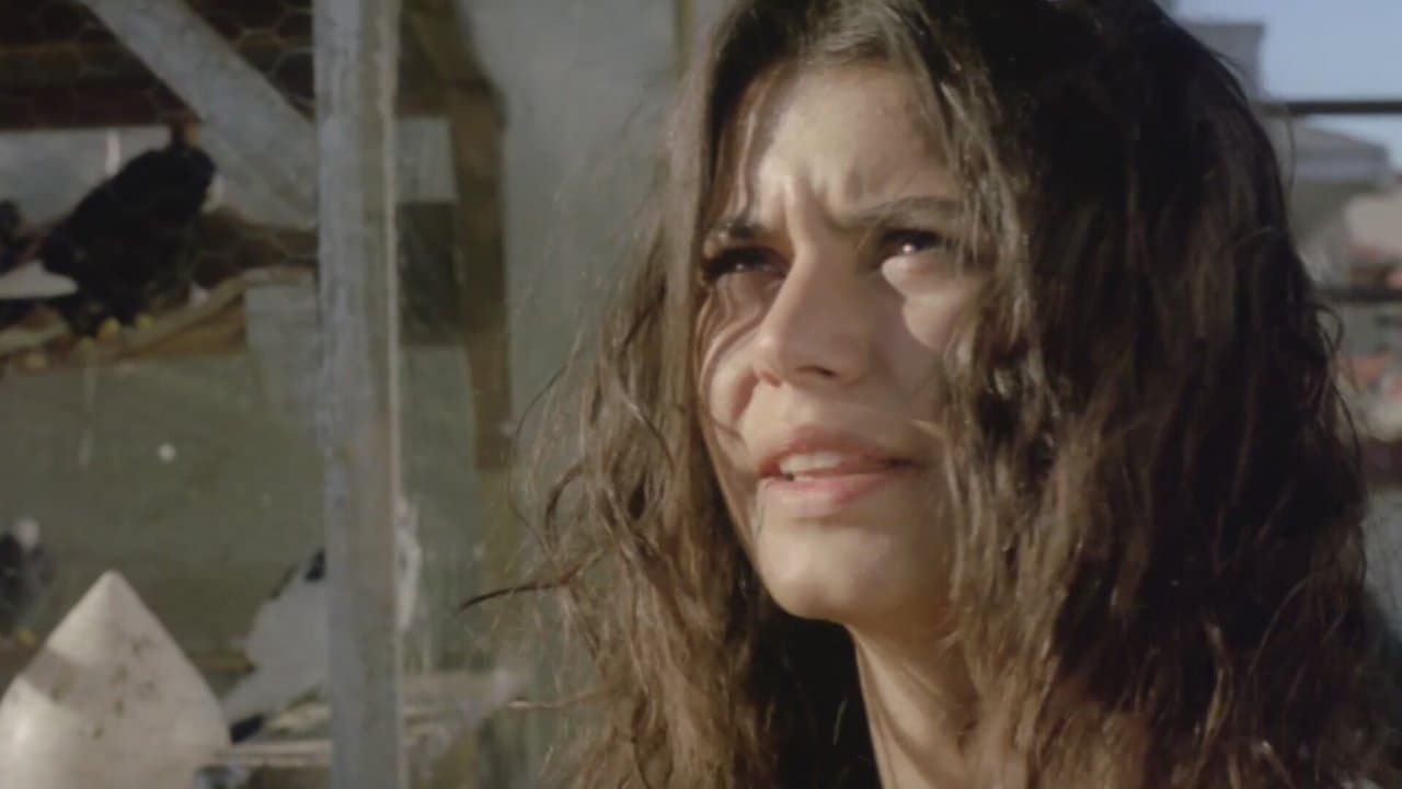 Gecenin Kanatlarıの背景画像