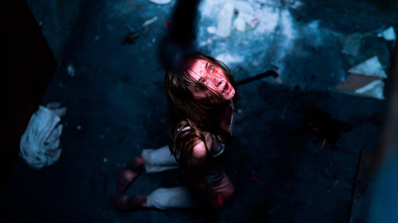 Trustの背景画像