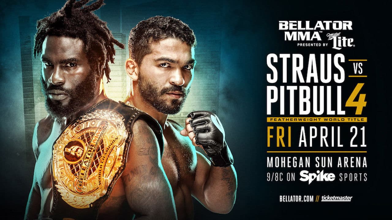 Bellator 178: Straus vs. Pitbull 4の背景画像